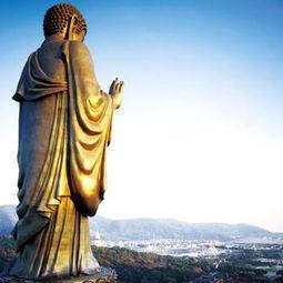 大佛爆料结婚视频完整版,甜蜜瞬间与爱情誓言