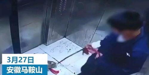 爆料云朵恶行视频,揭秘天空中的惊人真相  第1张